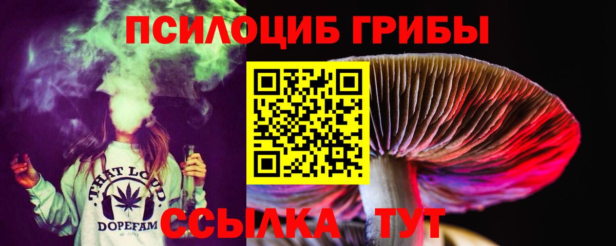 Кандалакша  Псилоцибиновые грибы мухоморы  купить наркоту  Вход с VPN 